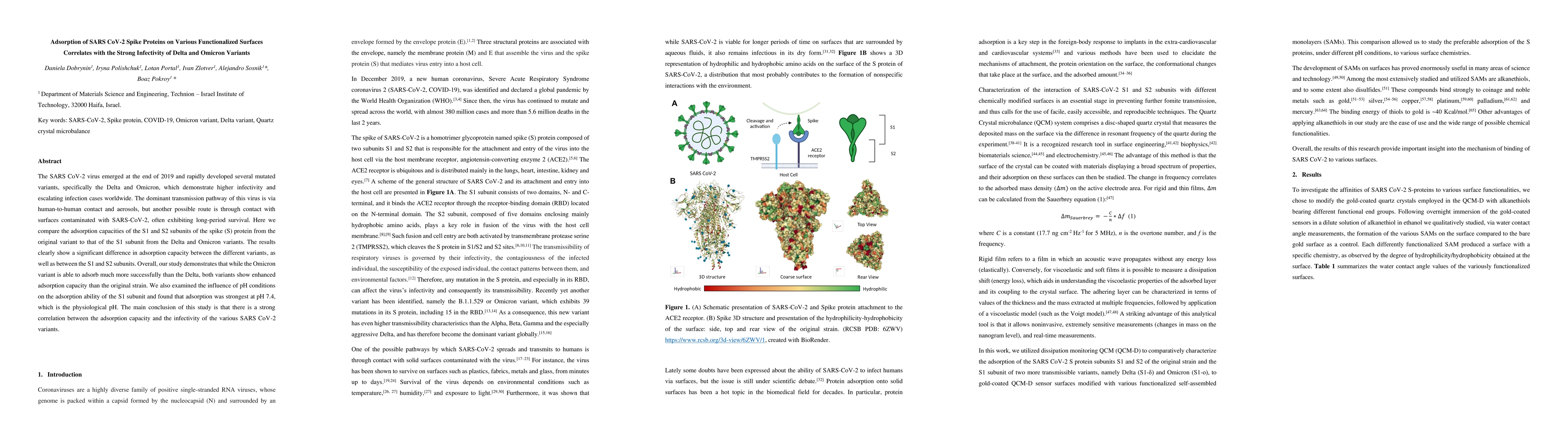 Thumbnail for Adsorption of SARS CoV-2 Spike Proteins on Various Functionalized
  Surfaces Correlates with the Strong Infectivity of Delta and Omicron Variants