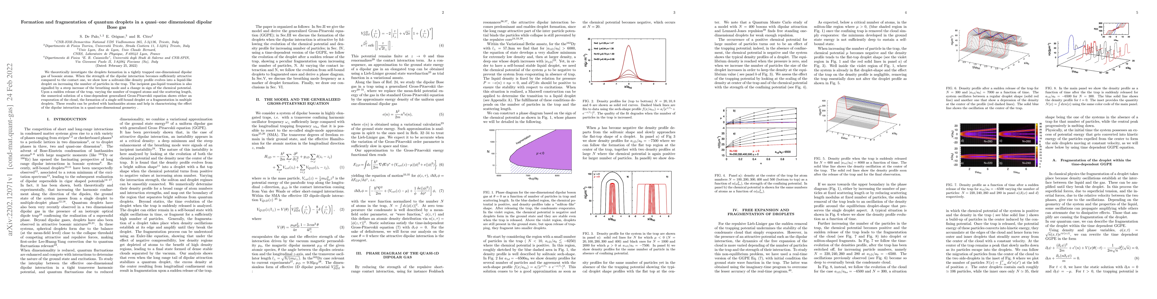 Thumbnail for Formation and fragmentation of quantum droplets in a quasi-one
  dimensional dipolar Bose gas