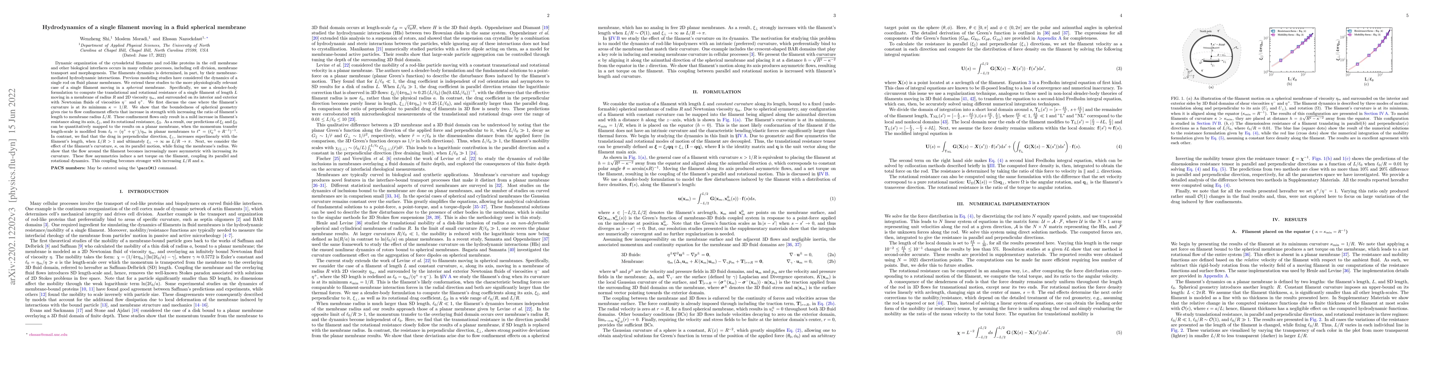 Thumbnail for Hydrodynamics of a single filament moving in a fluid spherical membrane