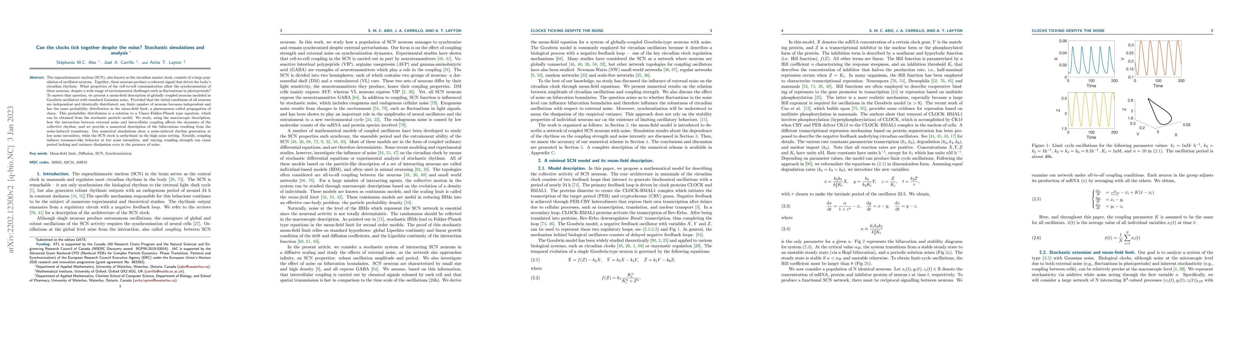 Thumbnail for Can the clocks tick together despite the noise? Stochastic simulations
  and analysis