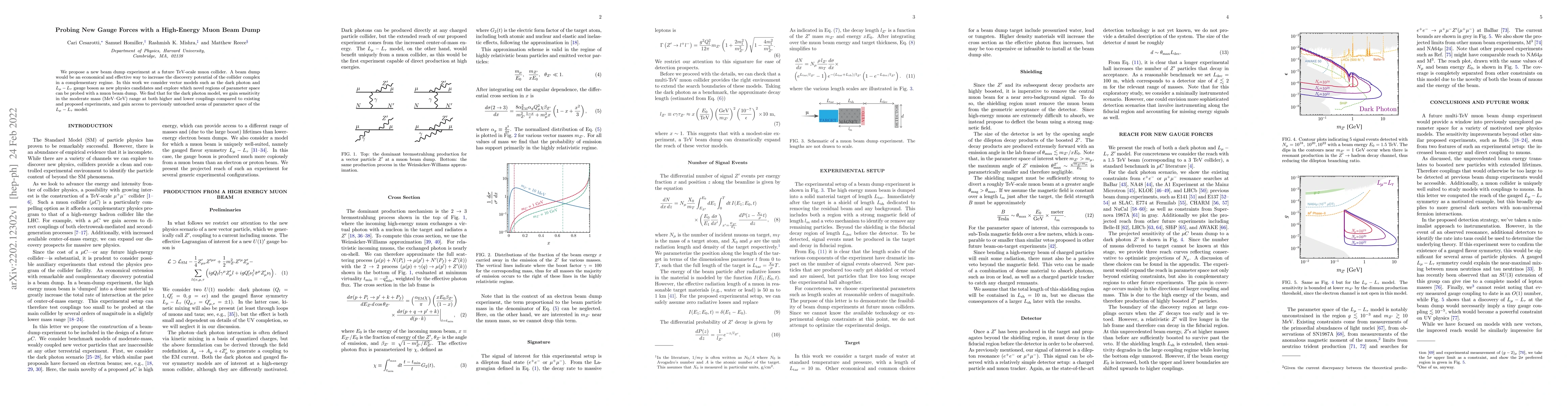 Thumbnail for Probing New Gauge Forces with a High-Energy Muon Beam Dump
