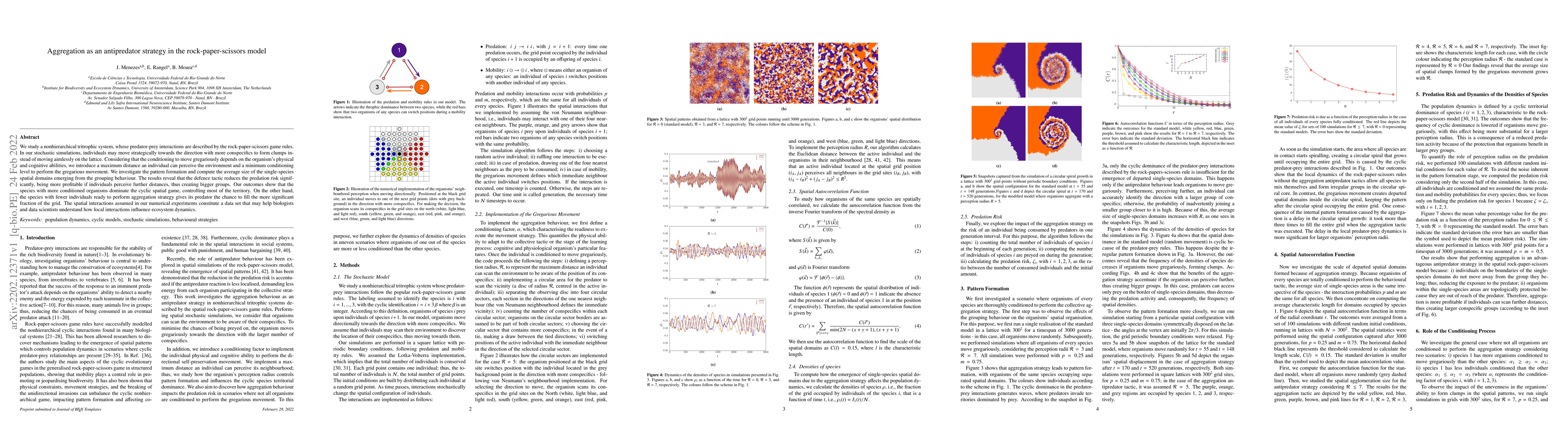 Thumbnail for Aggregation as an antipredator strategy in the rock-paper-scissors model