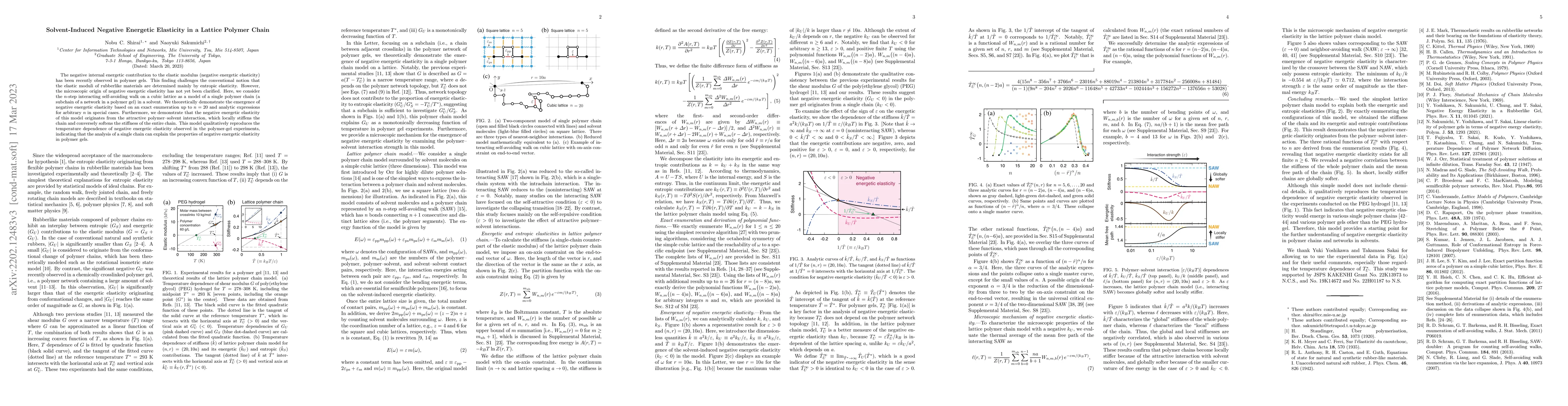 Thumbnail for Solvent-Induced Negative Energetic Elasticity in a Lattice Polymer Chain
