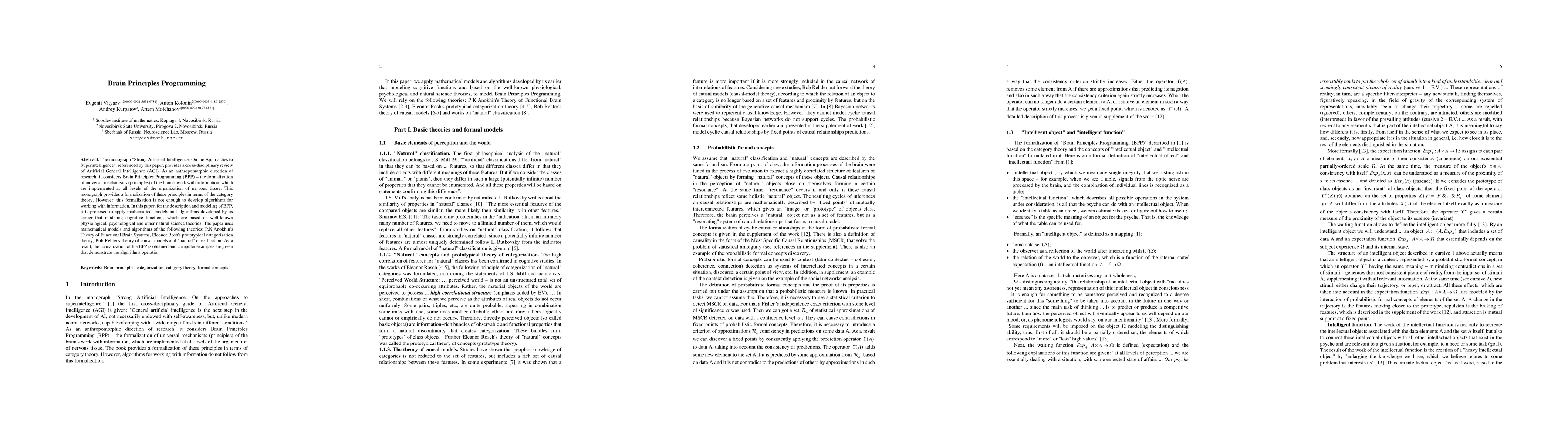 Thumbnail for Brain Principles Programming