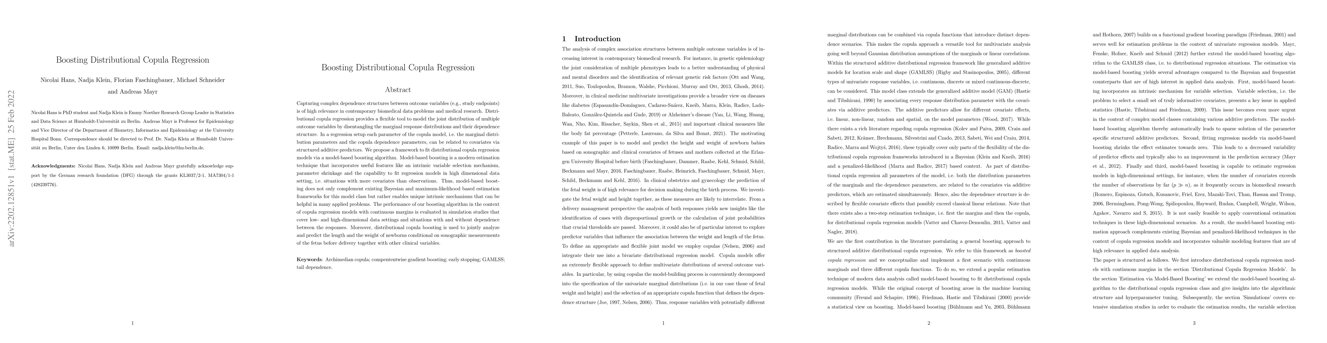 Thumbnail for Boosting Distributional Copula Regression