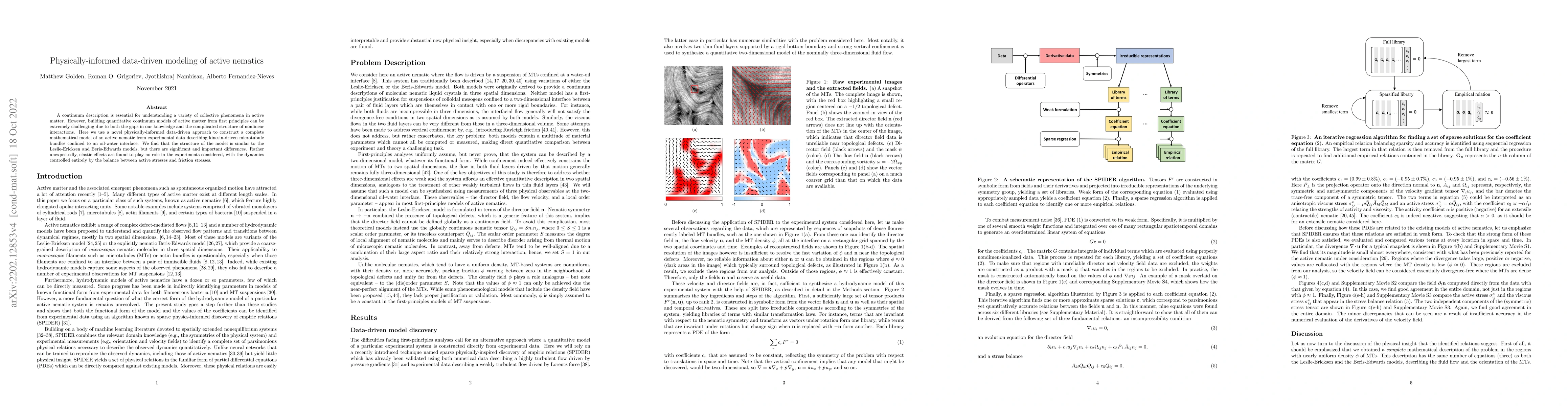 Thumbnail for Physically-informed data-driven modeling of active nematics