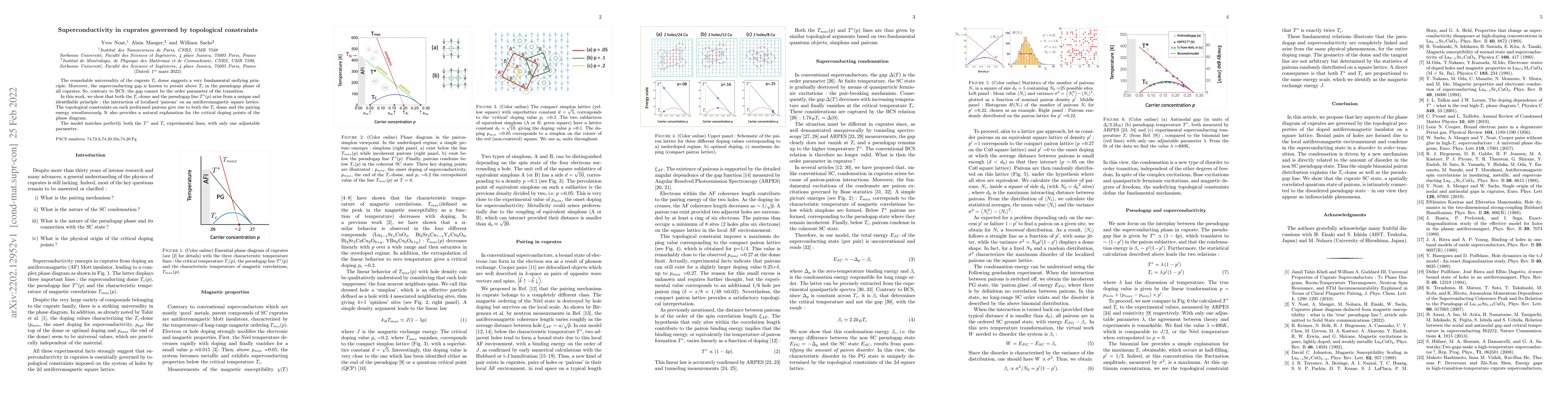 Thumbnail for Superconductivity in cuprates governed by topological constraints