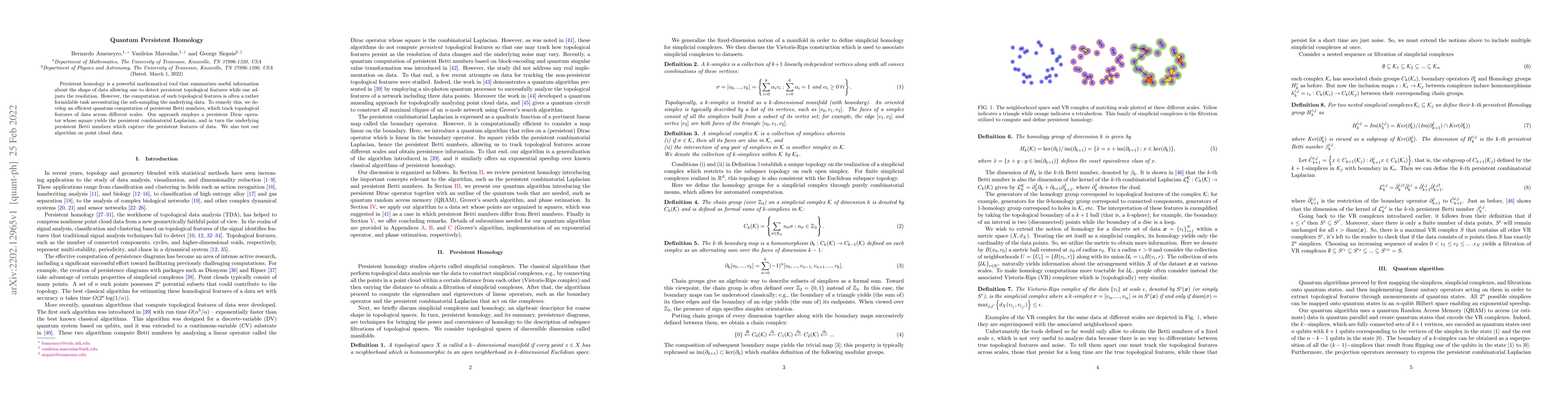 Thumbnail for Quantum Persistent Homology