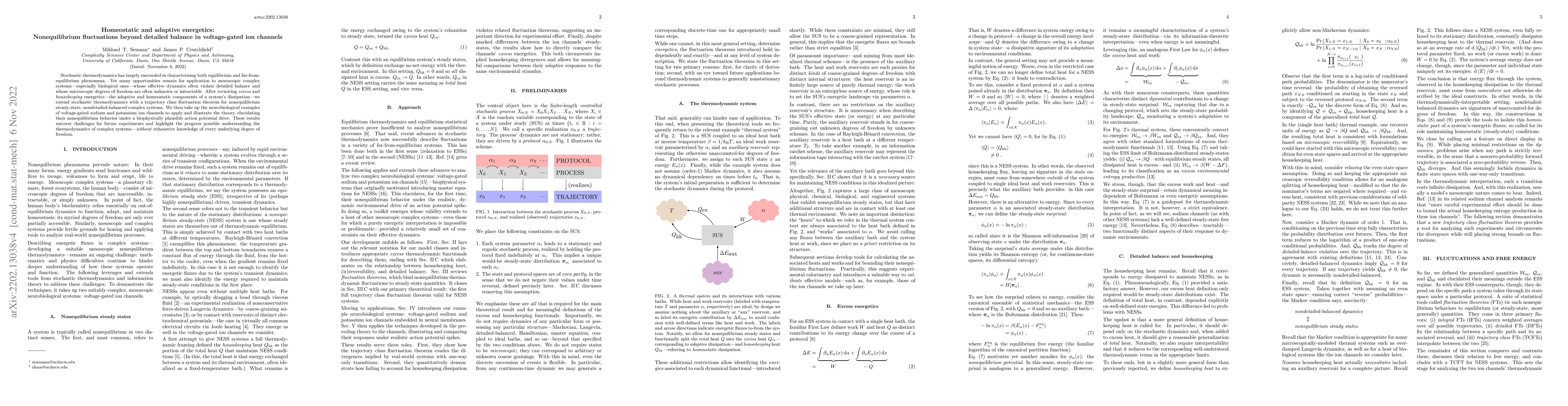 Thumbnail for Homeostatic and Adaptive Energetics: Nonequilibrium Fluctuations Beyond
  Detailed Balance in Voltage-Gated Ion Channels