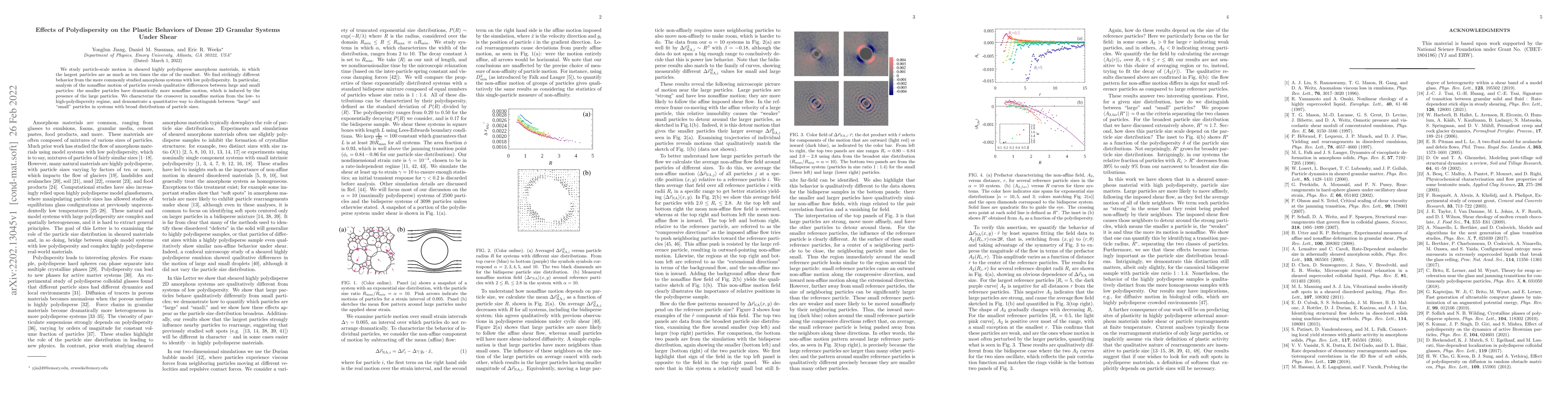 Thumbnail for Effects of Polydispersity on the Plastic Behaviors of Dense 2D Granular
  Systems Under Shear
