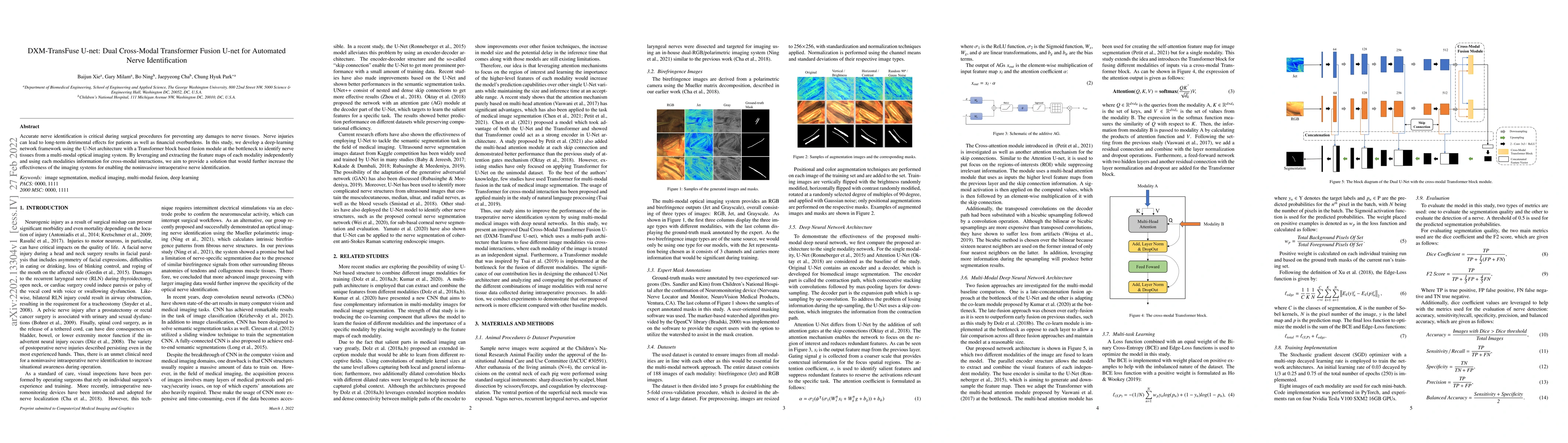 Thumbnail for DXM-TransFuse U-net: Dual Cross-Modal Transformer Fusion U-net for
  Automated Nerve Identification