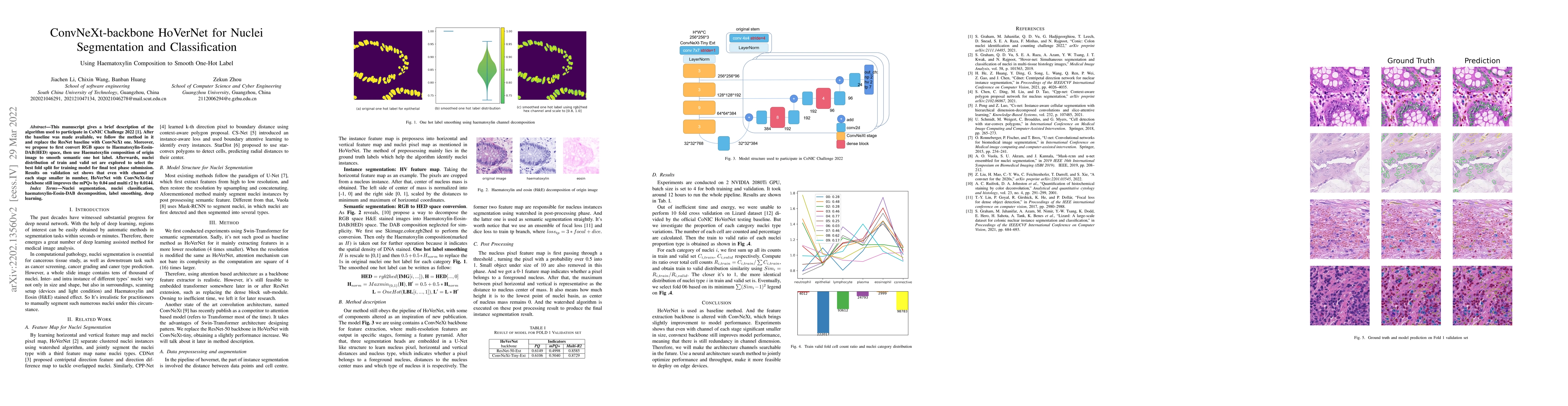 Thumbnail for ConvNeXt-backbone HoVerNet for nuclei segmentation and classification