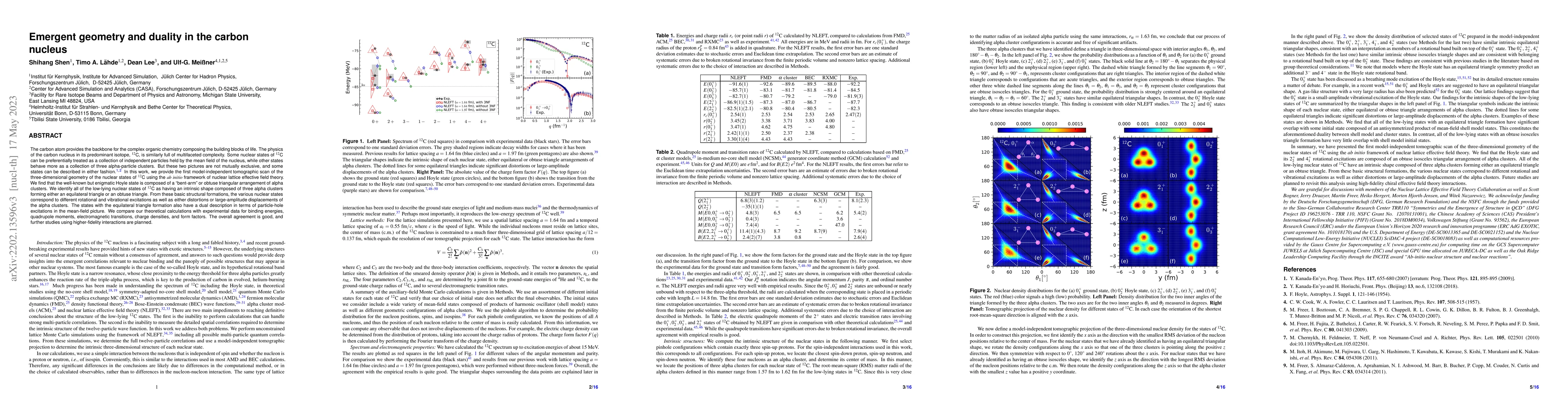 Thumbnail for Emergent geometry and duality in the carbon nucleus