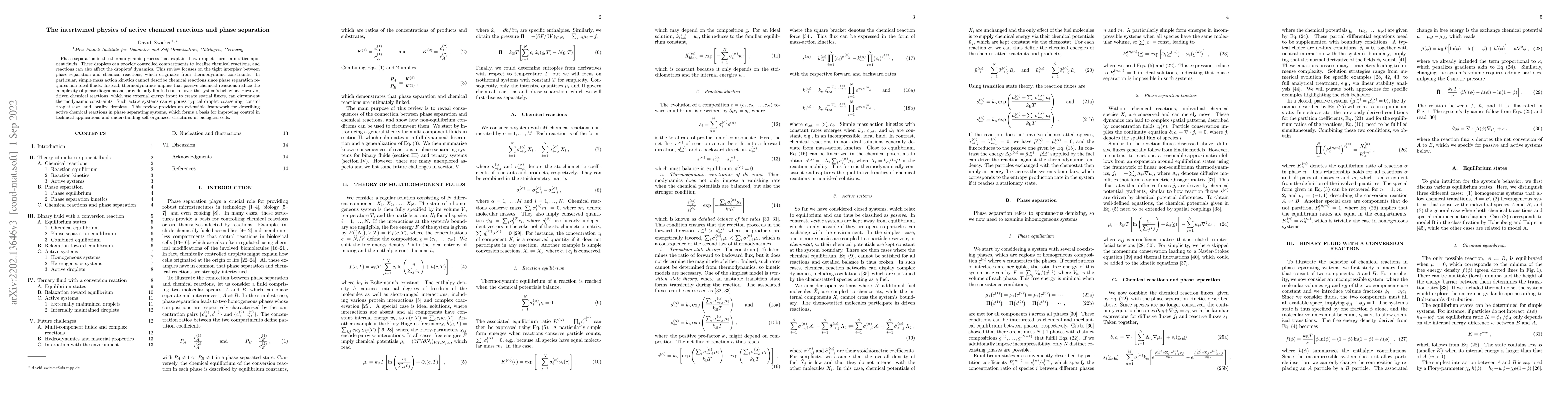 Thumbnail for The intertwined physics of active chemical reactions and phase
  separation