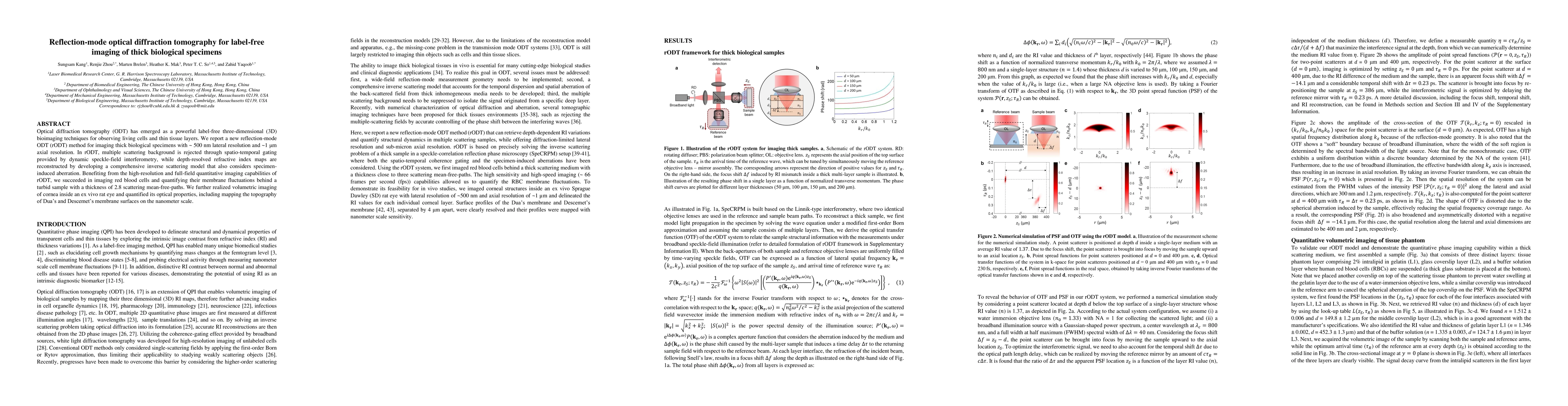 Thumbnail for Reflection-mode optical diffraction tomography for label-free imaging of
  thick biological specimens