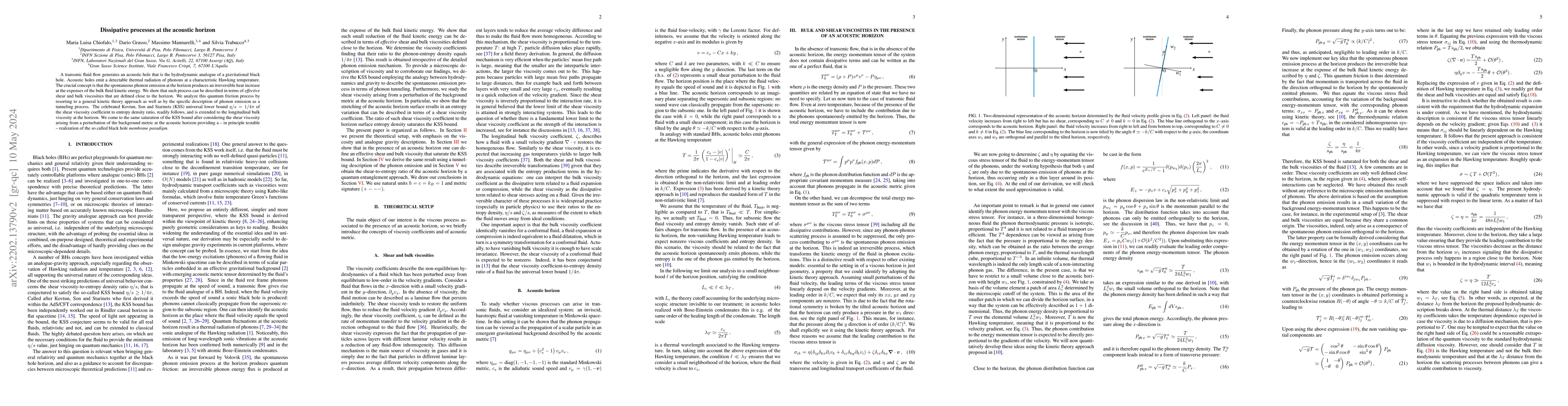 Thumbnail for Dissipative processes at the acoustic horizon