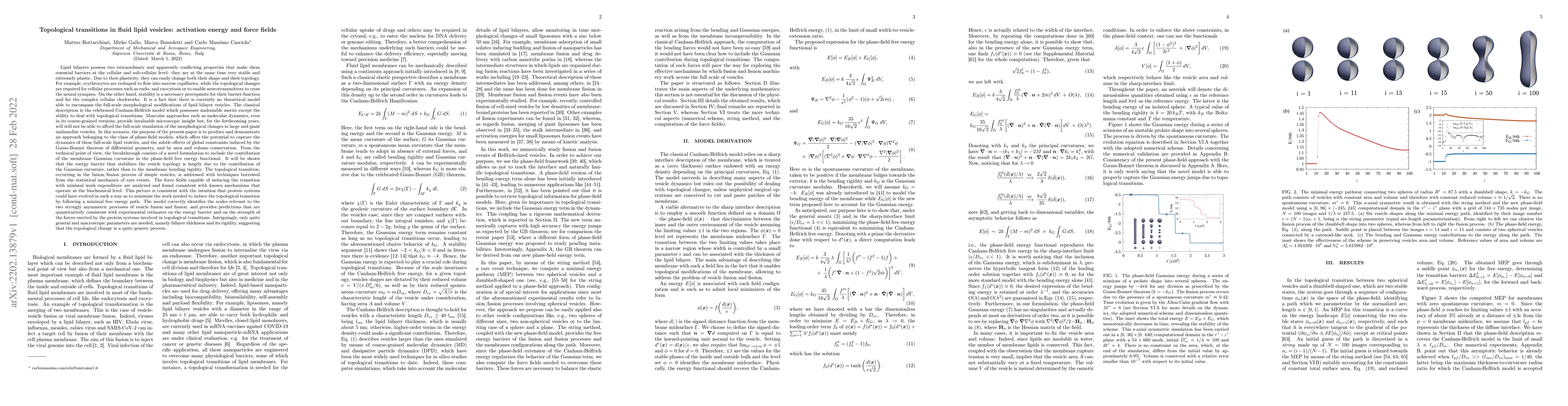 Thumbnail for Topological transitions in fluid lipid vesicles: activation energy and
  force fields