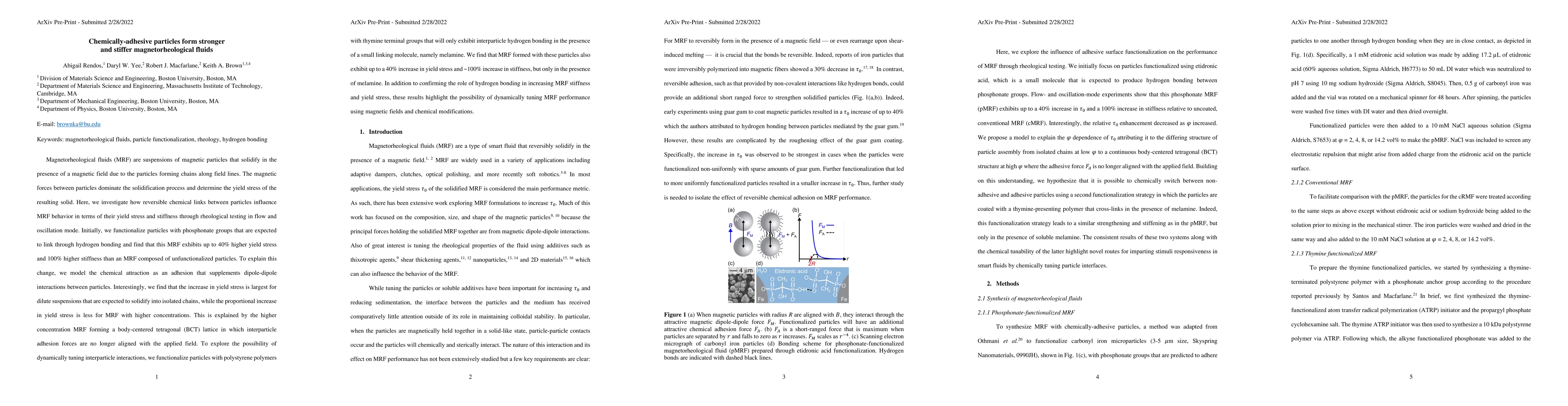 Thumbnail for Chemically-adhesive particles form stronger and stiffer
  magnetorheological fluids