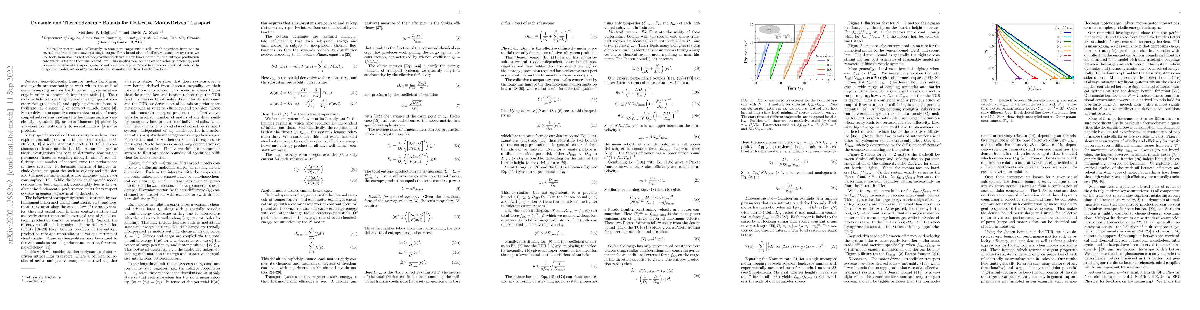 Thumbnail for Dynamic and thermodynamic bounds for collective motor-driven transport