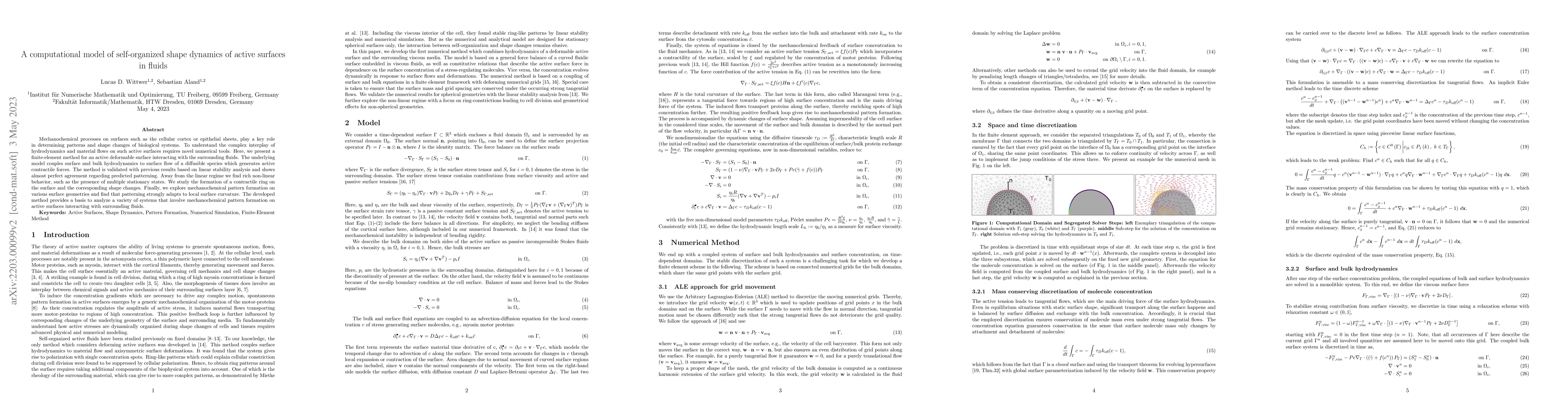 Thumbnail for A computational model of self-organized shape dynamics of active
  surfaces in fluids