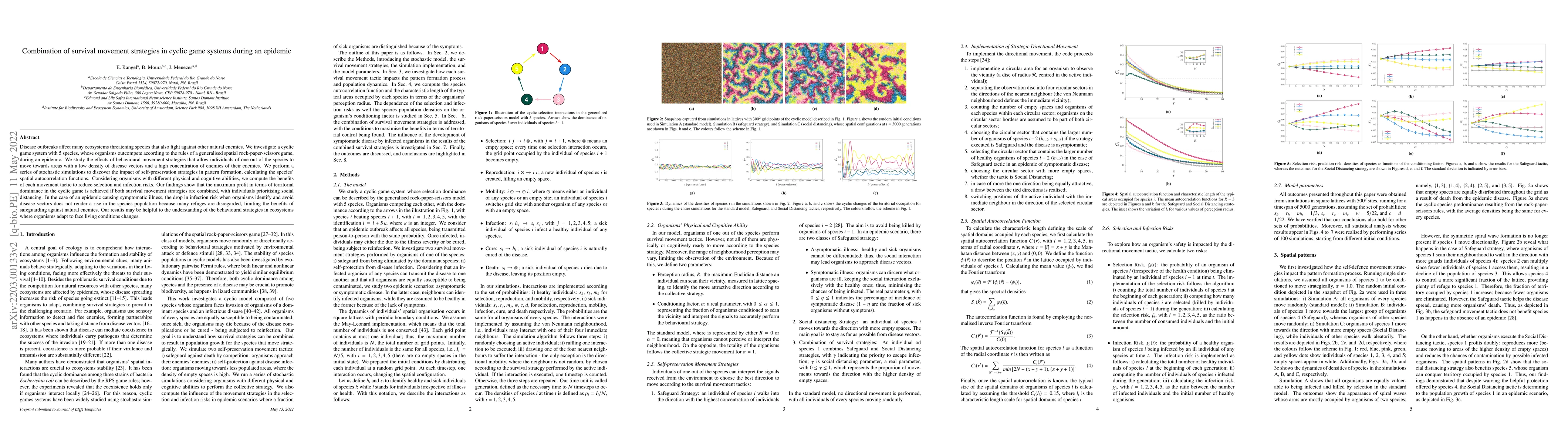 Thumbnail for Combination of survival movement strategies in cyclic game systems
  during an epidemic