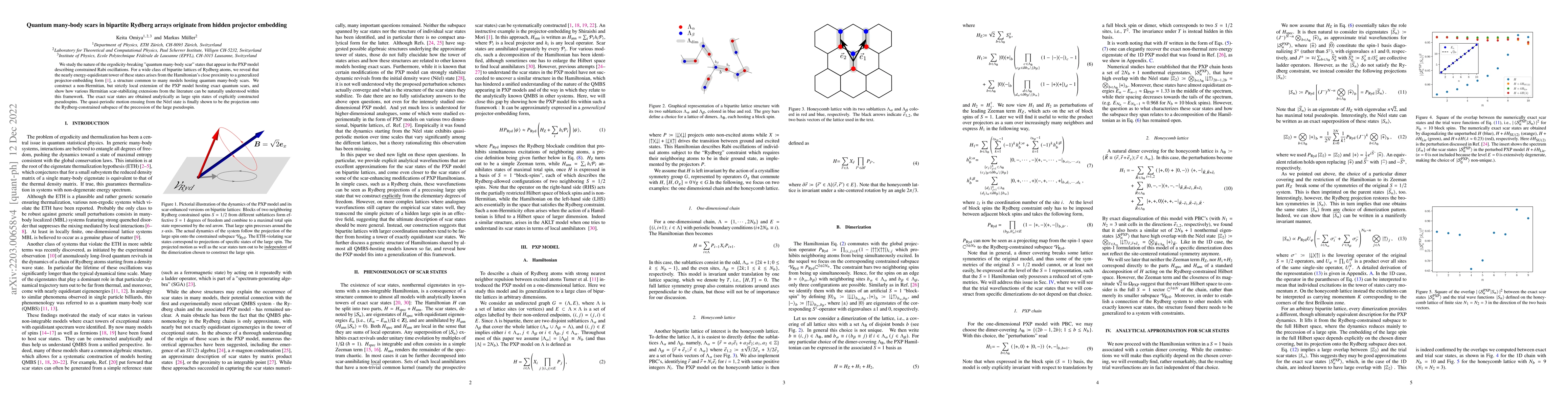 Thumbnail for Quantum many-body scars in bipartite Rydberg arrays originate from
  hidden projector embedding