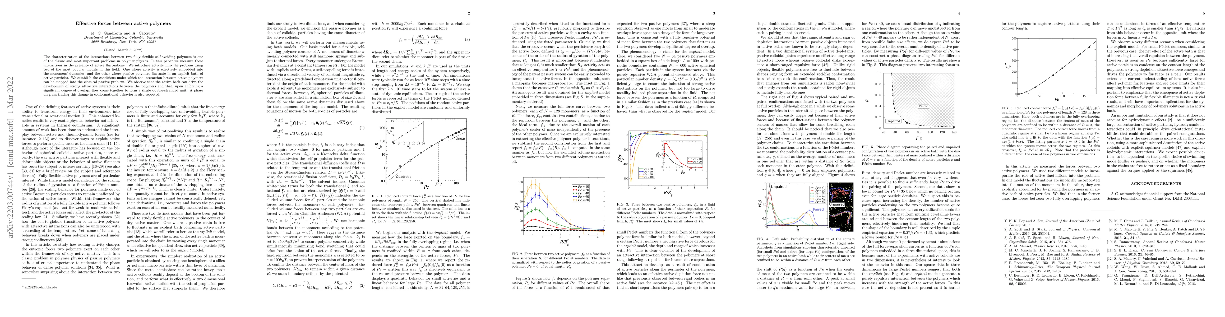Thumbnail for Effective forces between active polymers
