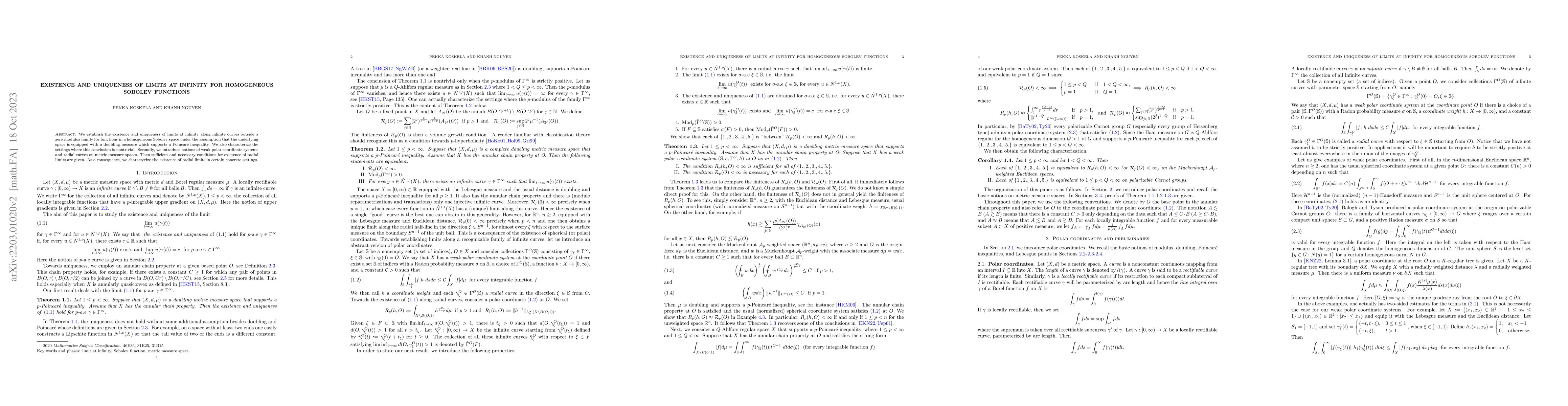 Thumbnail for Existence and uniqueness of limits at infinity for homogeneous Sobolev
  functions
