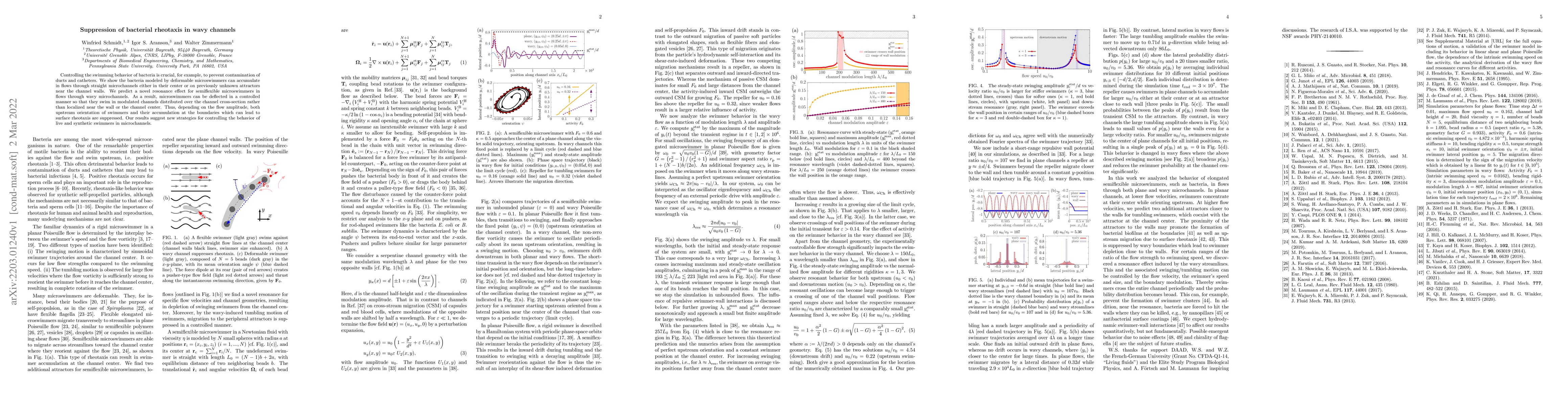Thumbnail for Suppression of bacterial rheotaxis in wavy channels