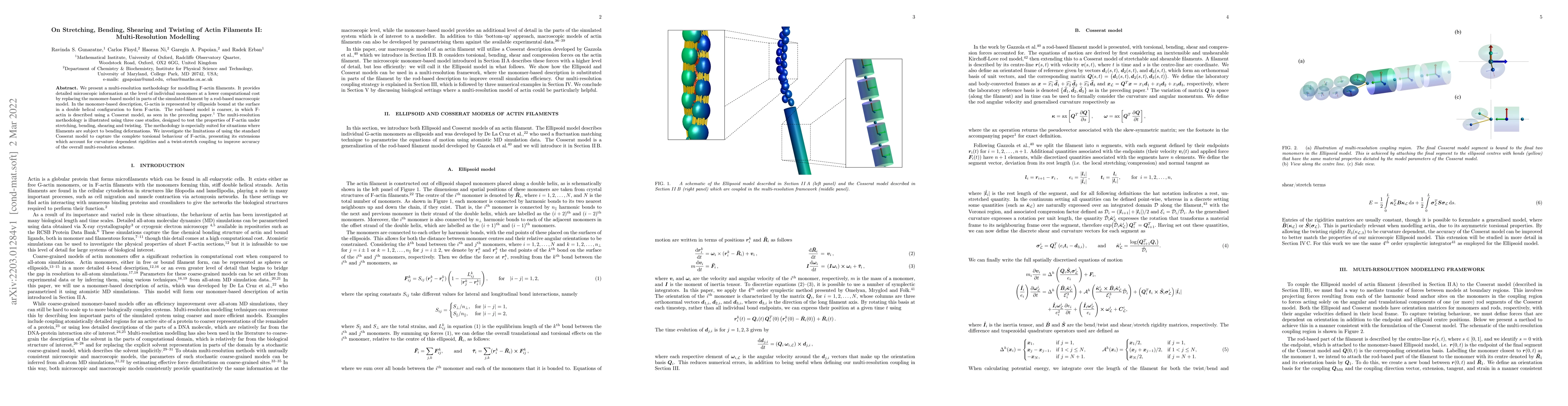Thumbnail for On Stretching, Bending, Shearing and Twisting of Actin Filaments II:
  Multi-Resolution Modelling