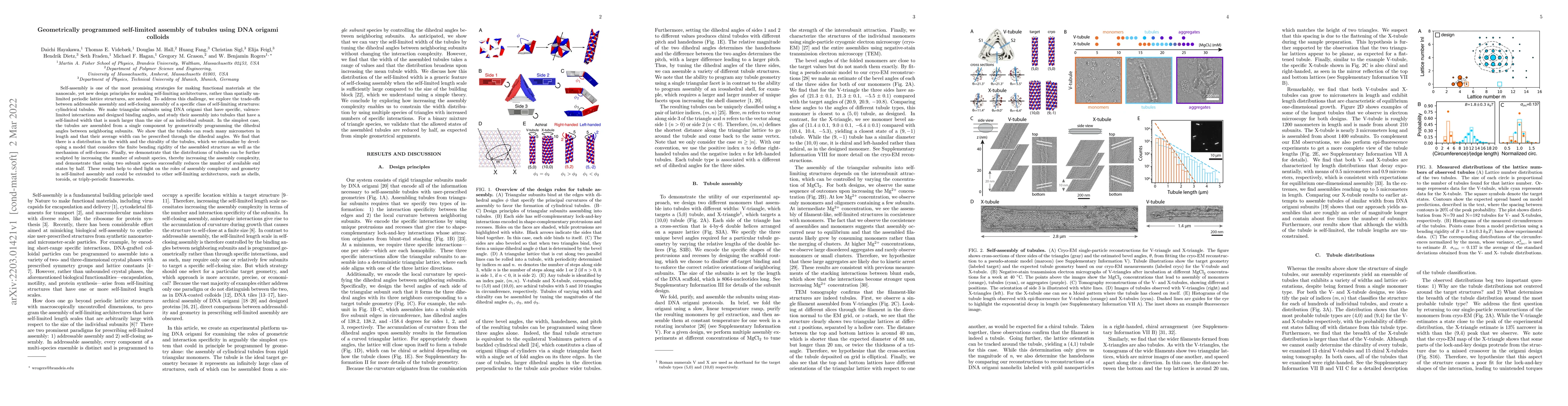 Thumbnail for Geometrically programmed self-limited assembly of tubules using DNA
  origami colloids