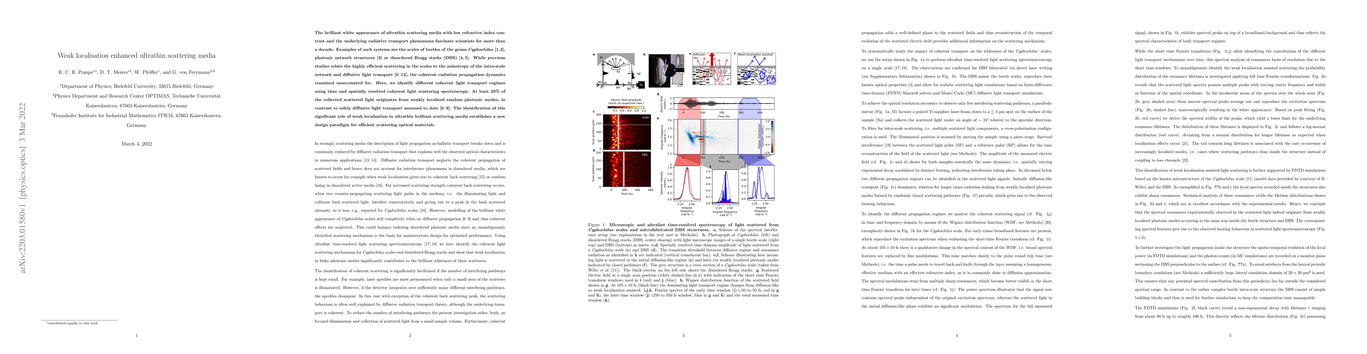 Thumbnail for Weak localisation enhanced ultrathin scattering media
