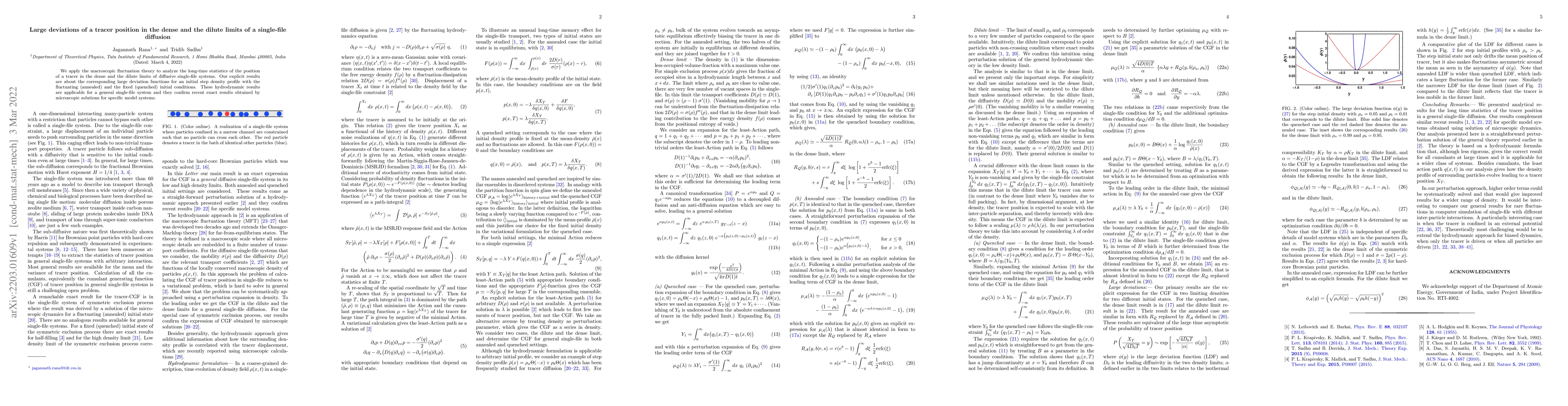 Thumbnail for Large deviations of a tracer position in the dense and the dilute limits
  of a single-file diffusion