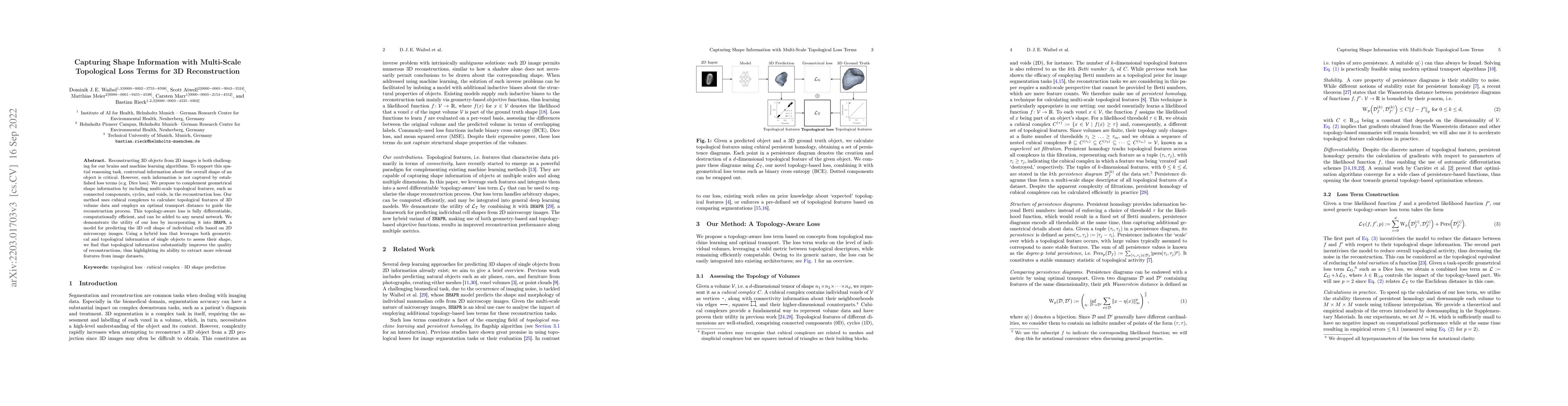 Thumbnail for Capturing Shape Information with Multi-Scale Topological Loss Terms for
  3D Reconstruction