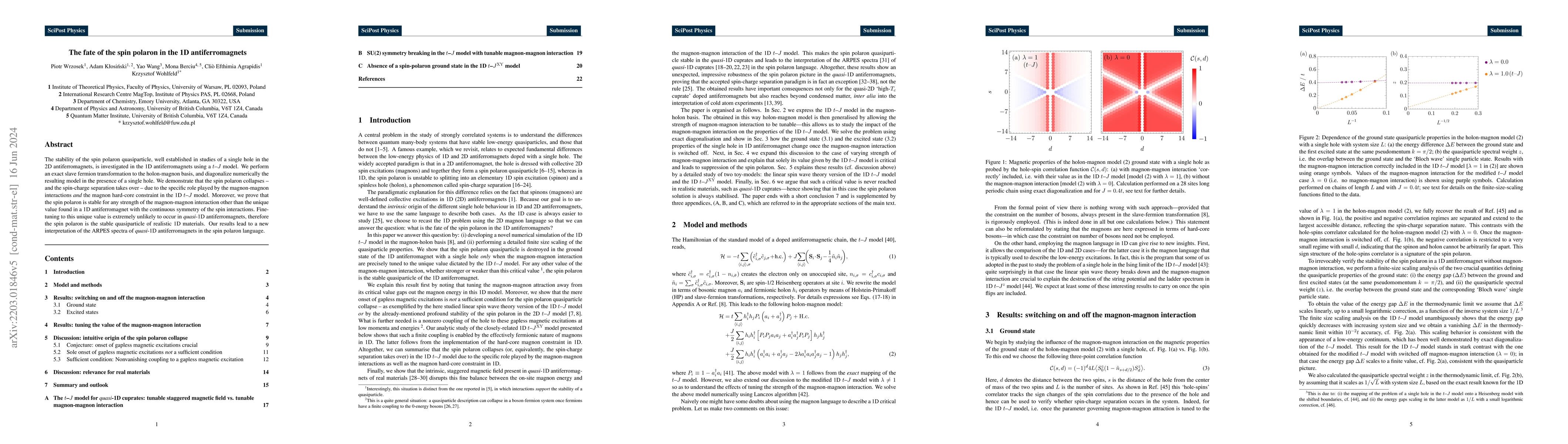Thumbnail for The fate of the spin polaron in the 1D antiferromagnets