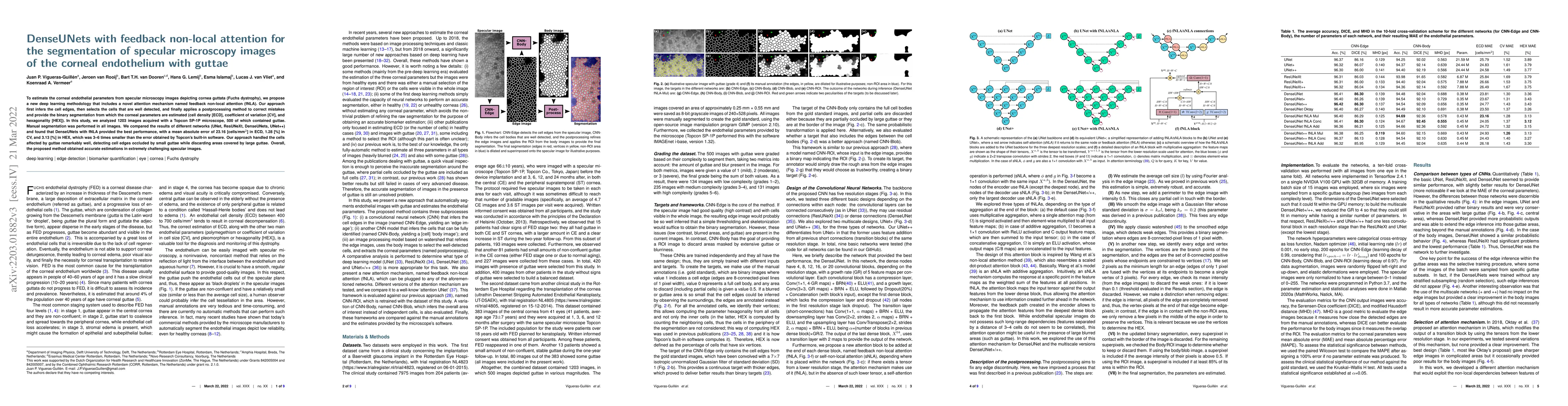 Thumbnail for DenseUNets with feedback non-local attention for the segmentation of
  specular microscopy images of the corneal endothelium with guttae