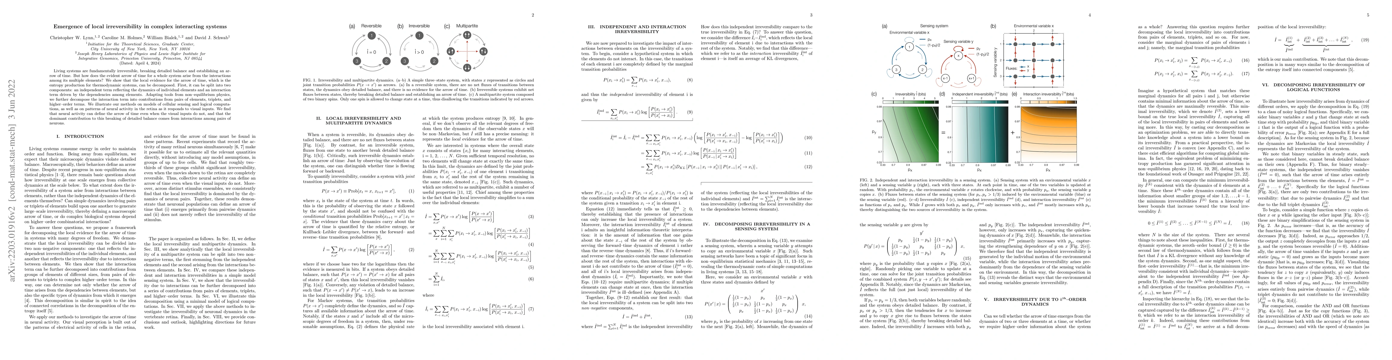 Thumbnail for Emergence of local irreversibility in complex interacting systems