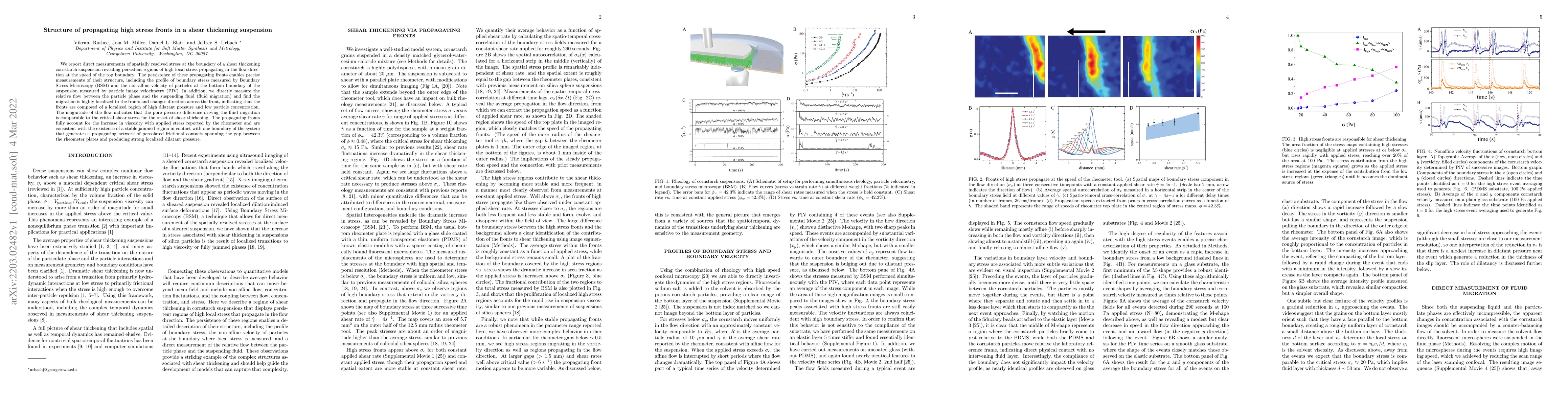 Thumbnail for Structure of propagating high stress fronts in a shear thickening
  suspension