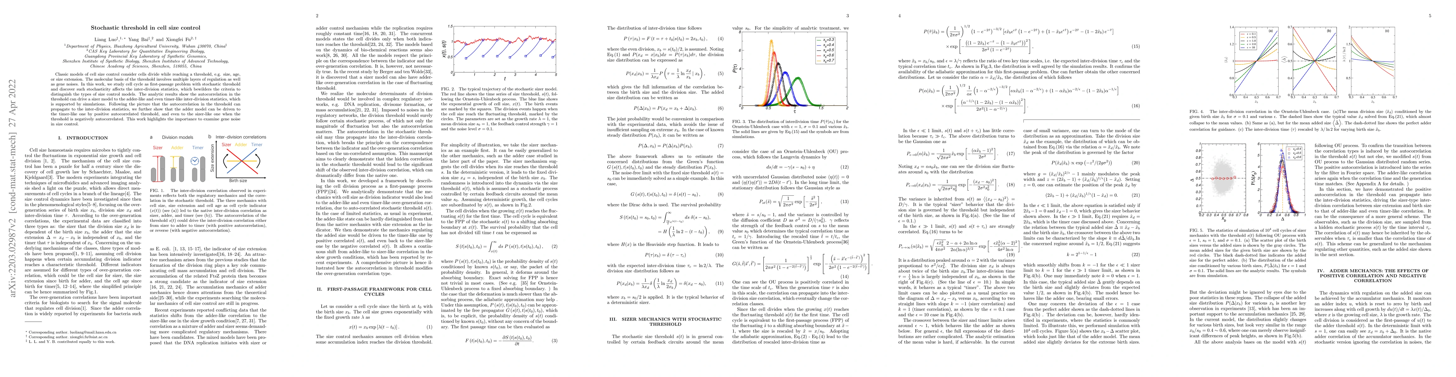 Thumbnail for Stochastic threshold in cell size control