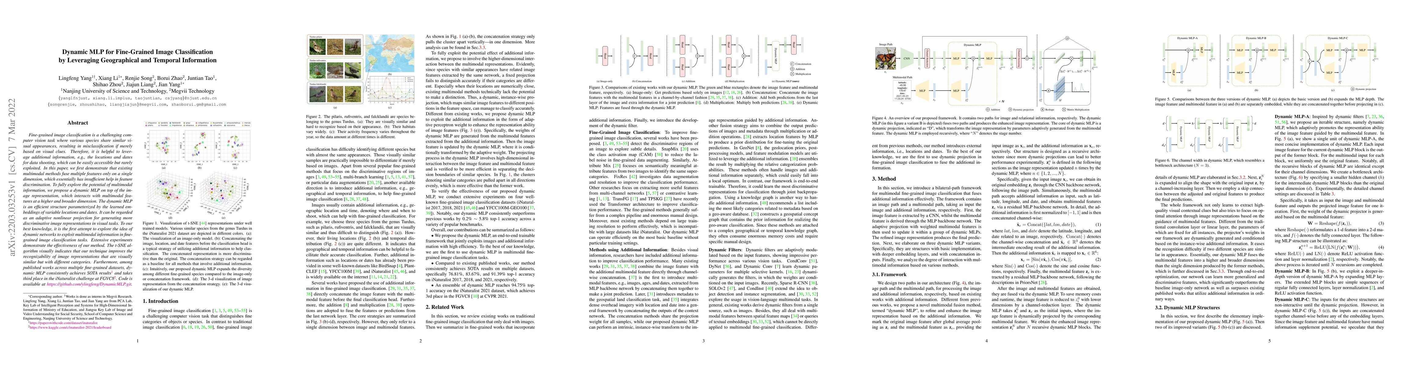 Thumbnail for Dynamic MLP for Fine-Grained Image Classification by Leveraging
  Geographical and Temporal Information