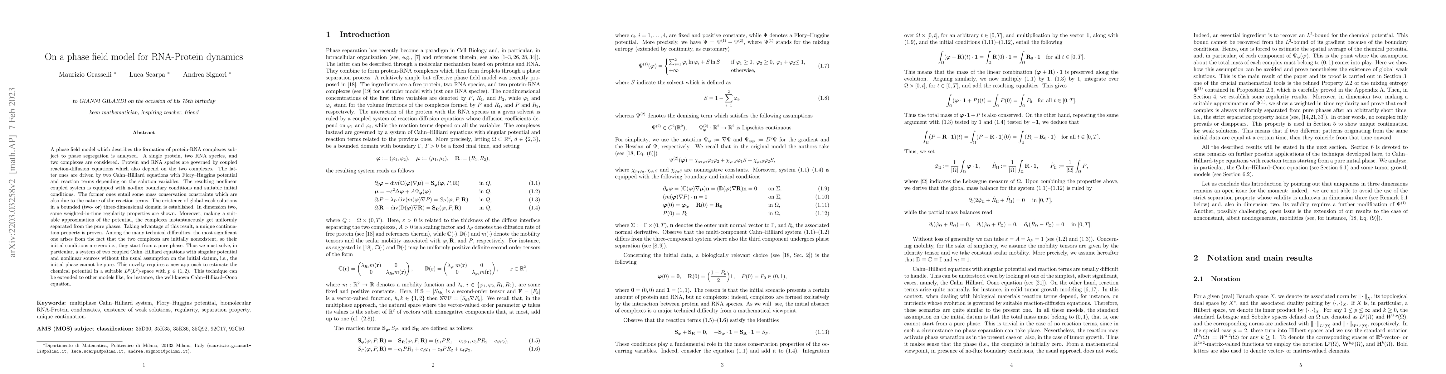 Thumbnail for On a phase field model for RNA-Protein dynamics