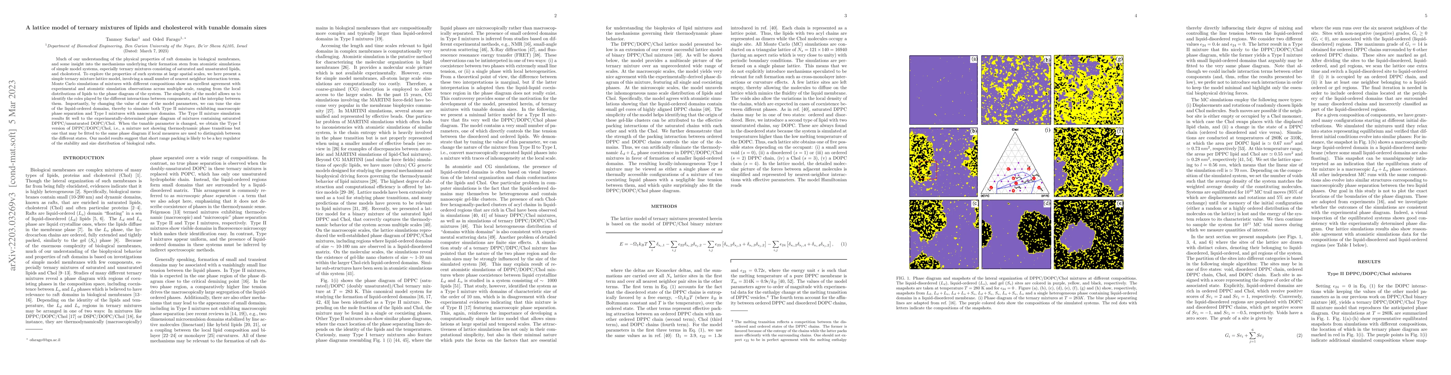 Thumbnail for A lattice model of ternary mixtures of lipids and cholesterol with
  tunable domain sizes
