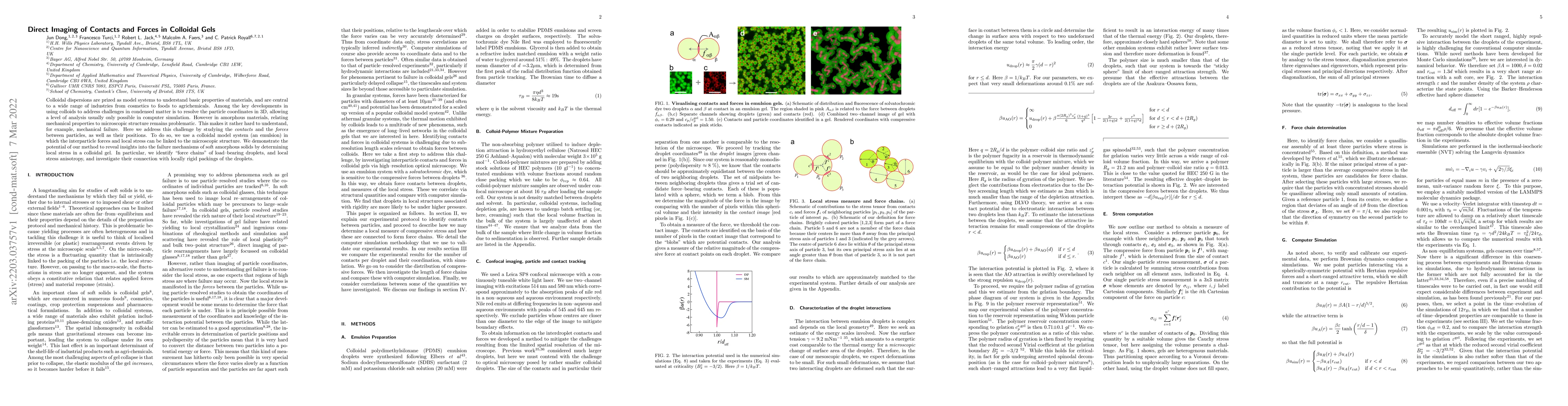 Thumbnail for Direct Imaging of Contacts and Forces in Colloidal Gels