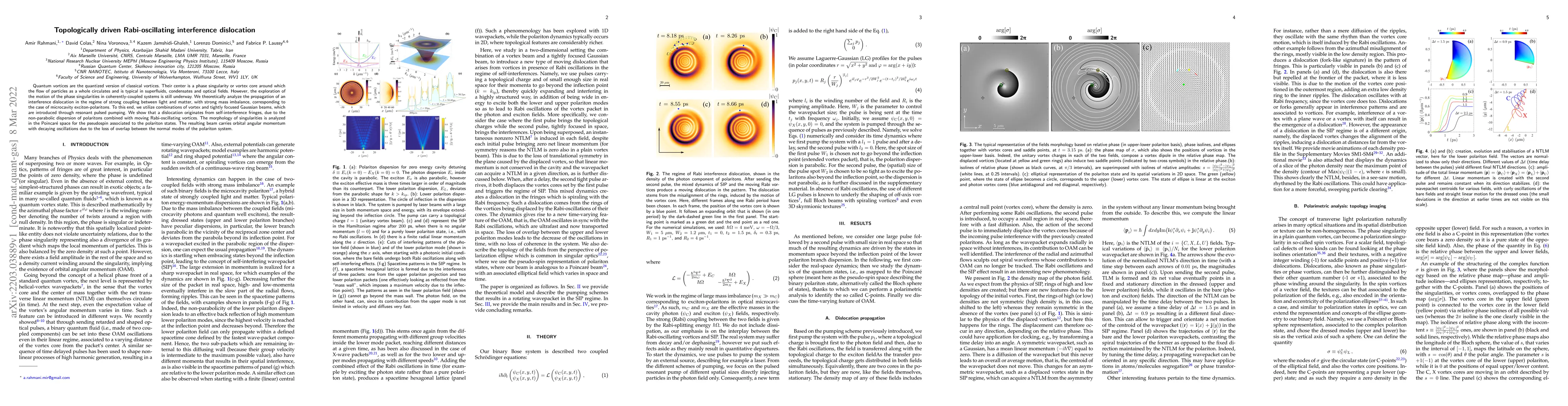 Thumbnail for Topologically driven Rabi-oscillating interference dislocation