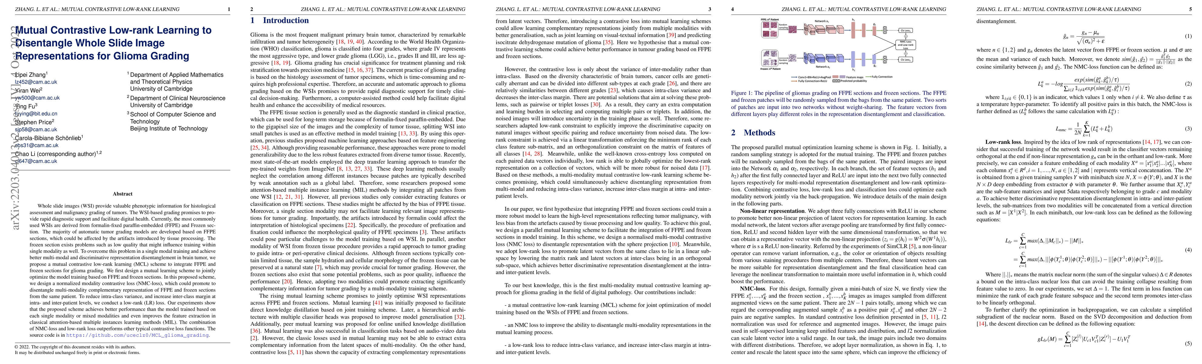 Thumbnail for Mutual Contrastive Low-rank Learning to Disentangle Whole Slide Image
  Representations for Glioma Grading