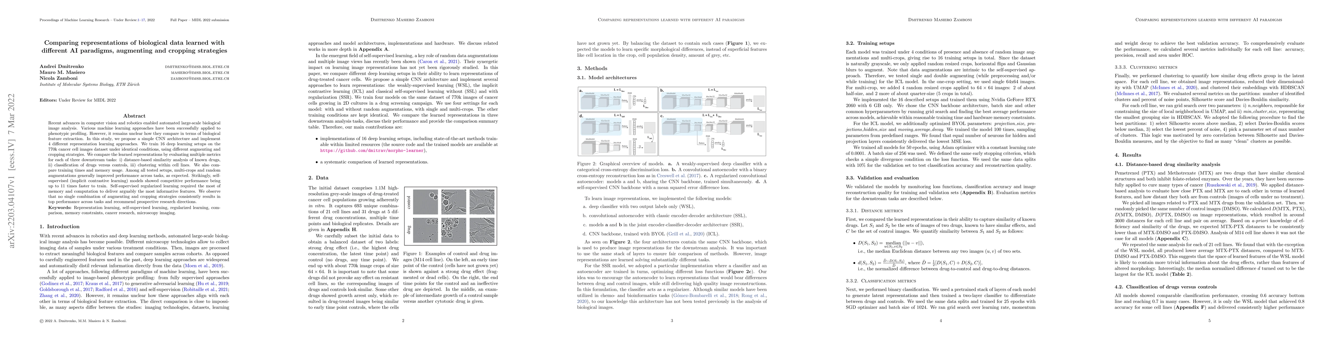Thumbnail for Comparing representations of biological data learned with different AI
  paradigms, augmenting and cropping strategies