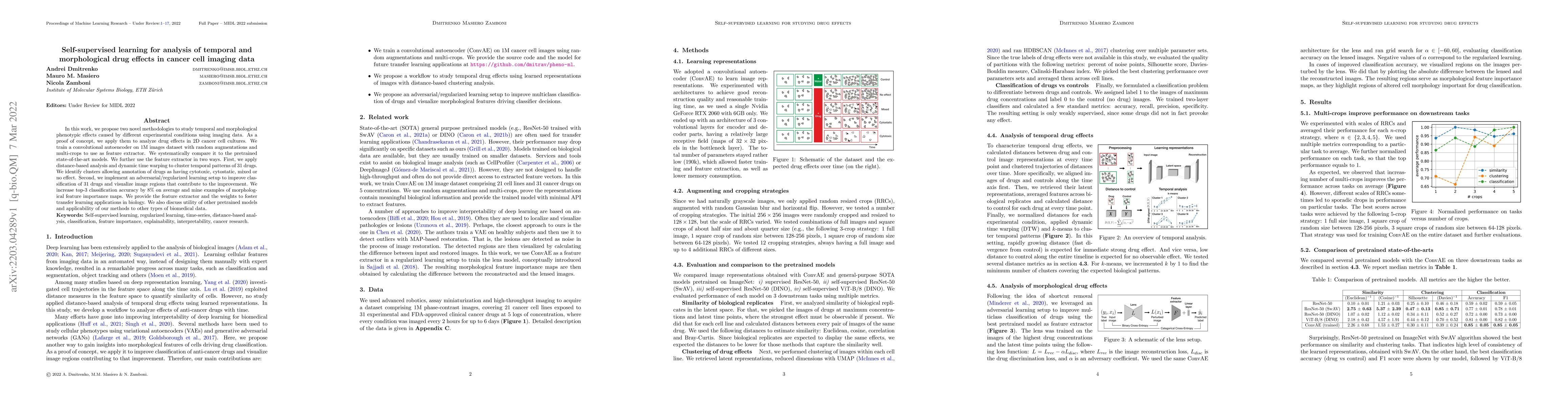 Thumbnail for Self-supervised learning for analysis of temporal and morphological drug
  effects in cancer cell imaging data