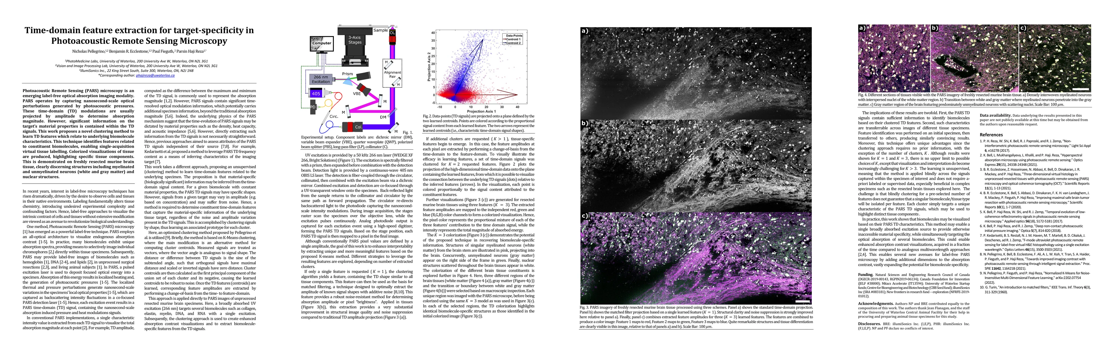 Thumbnail for Time-domain feature extraction for target-specificity in Photoacoustic
  Remote Sensing Microscopy