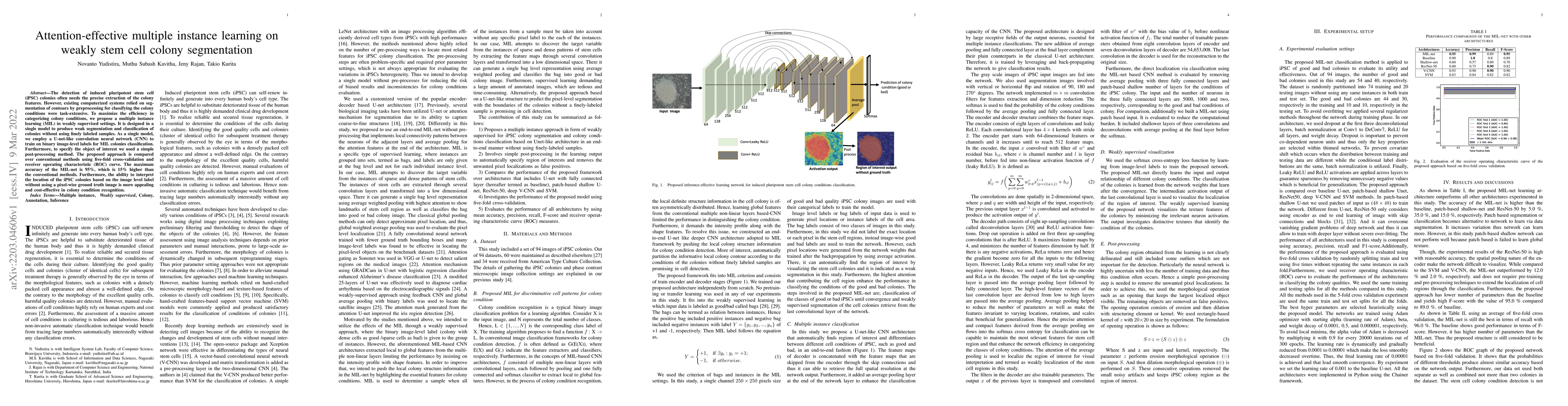 Thumbnail for Attention-effective multiple instance learning on weakly stem cell
  colony segmentation