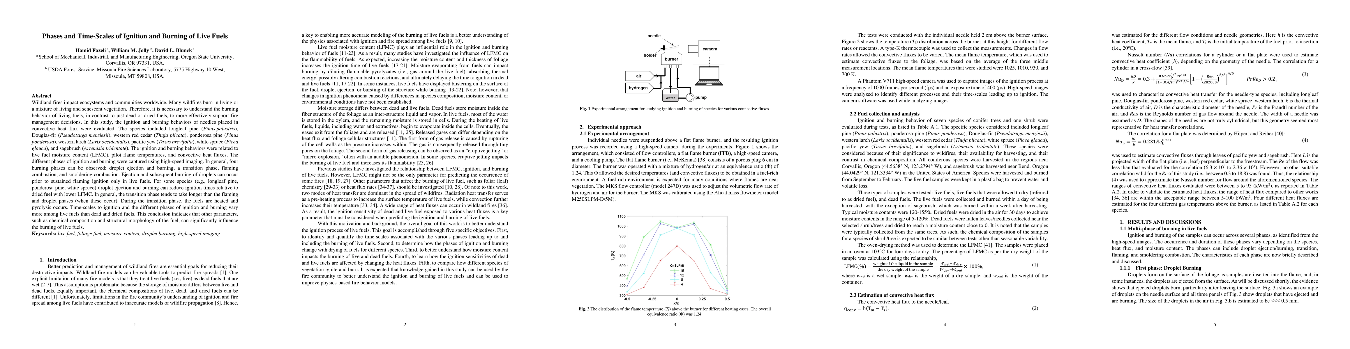 Thumbnail for Phases and Time-Scales of Ignition and Burning of Live Fuels